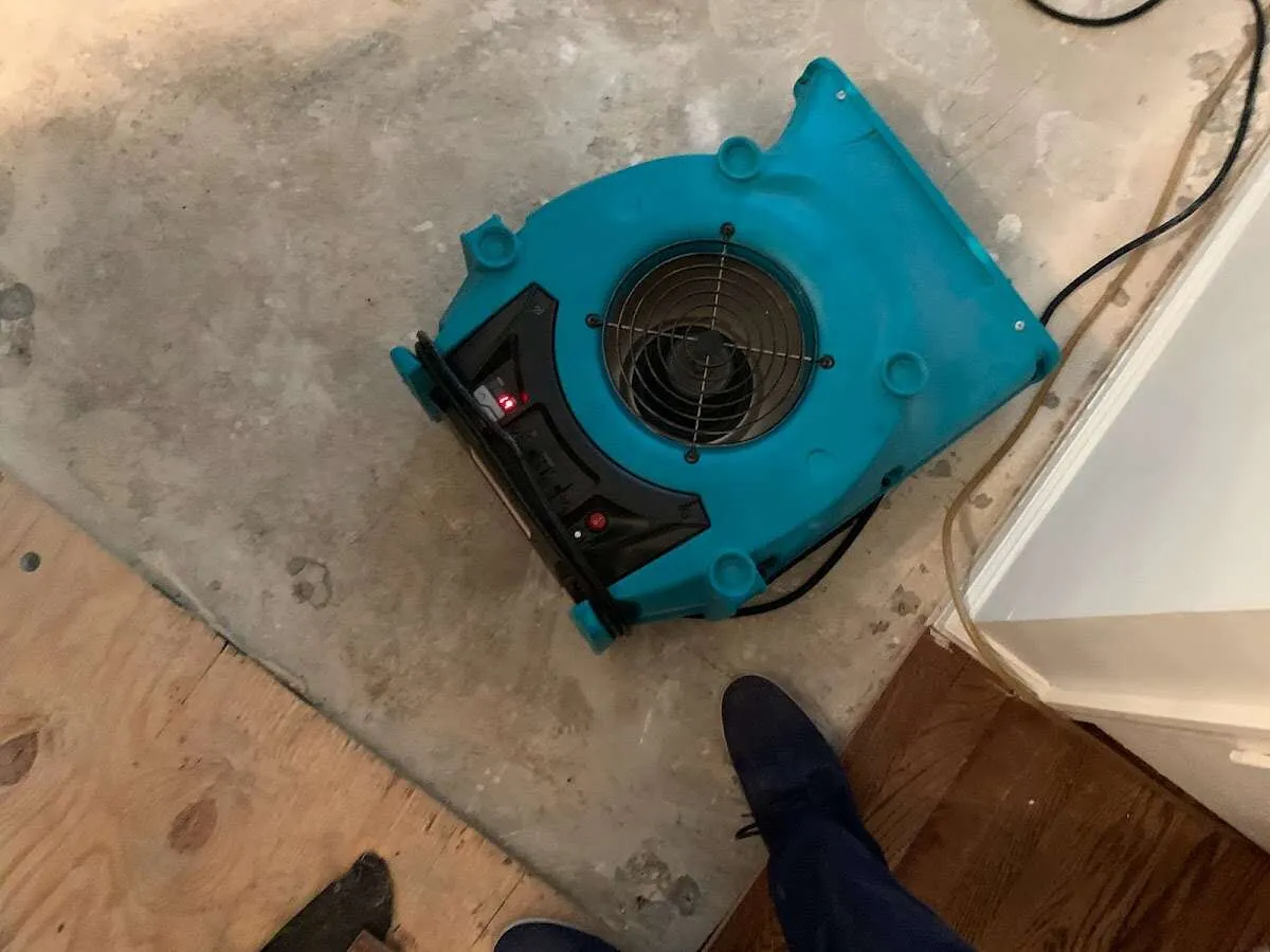 Air mover drying subfloor during Leak Detection & Repair in Bethany